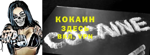 spice Гусь-Хрустальный