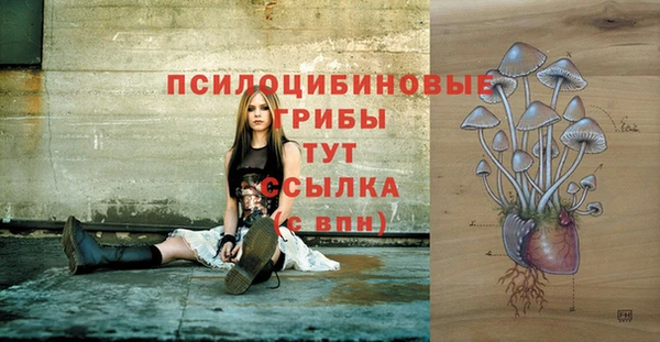 СК Горнозаводск