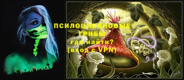 СК Горнозаводск