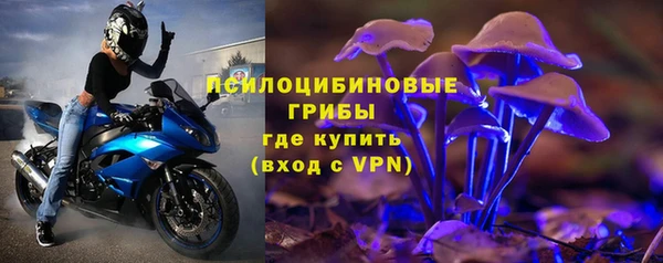 СК Горнозаводск