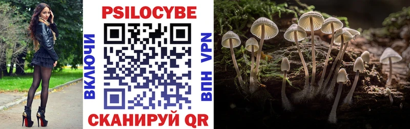 Галлюциногенные грибы Psilocybe  Зуевка 